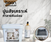 ปูนสังเคราะห์ทำลายหินอ่อน PWD-02 ปูนสีดำ